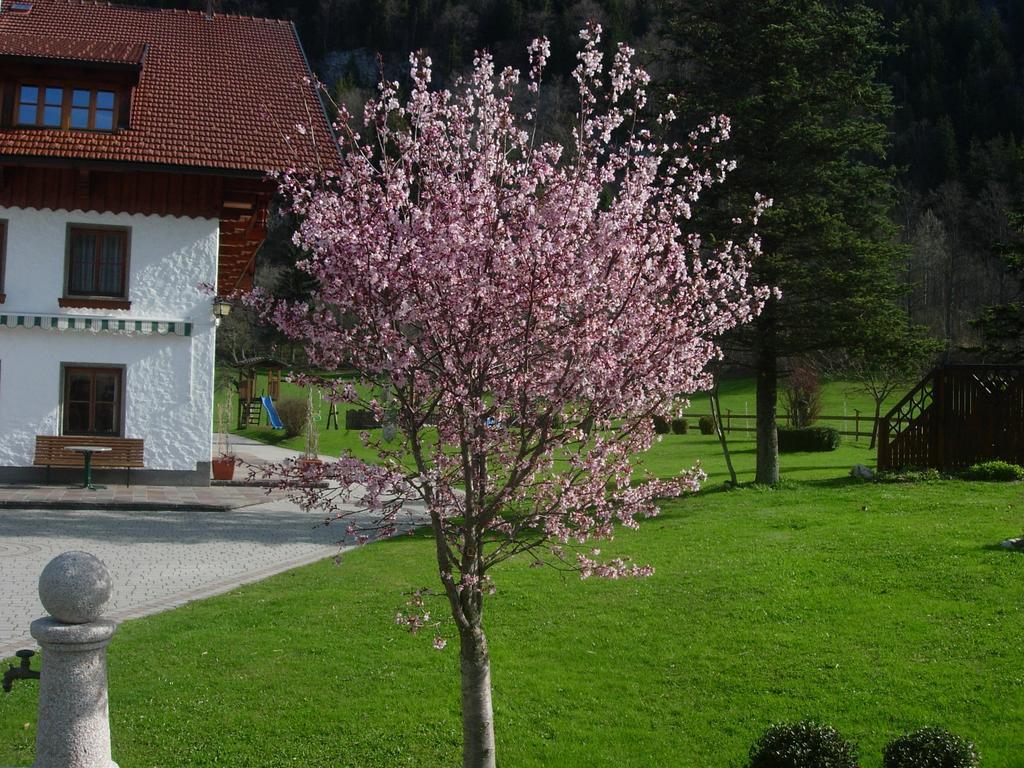Schmiedbauernhof Villa Fuschl am See Ngoại thất bức ảnh
